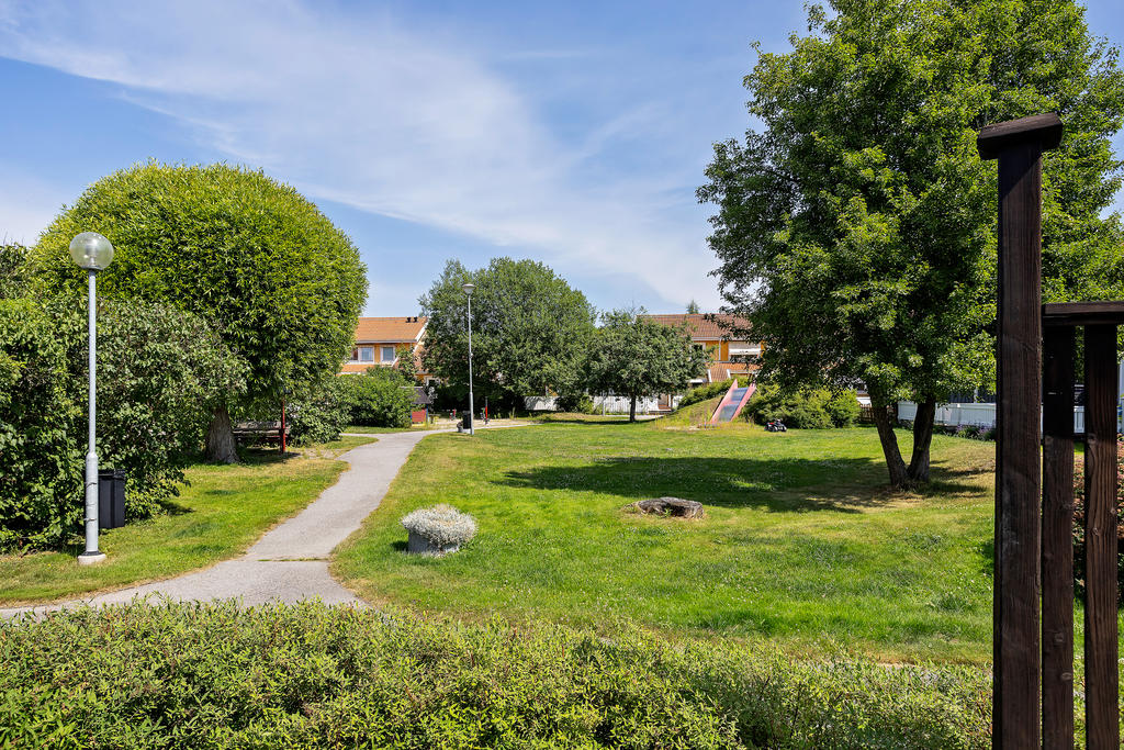Grönskande vy