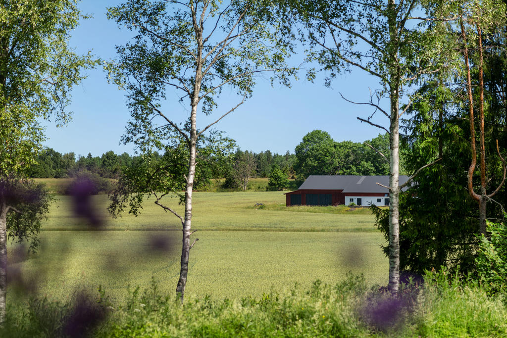 Härliga vyer för lugn och ro