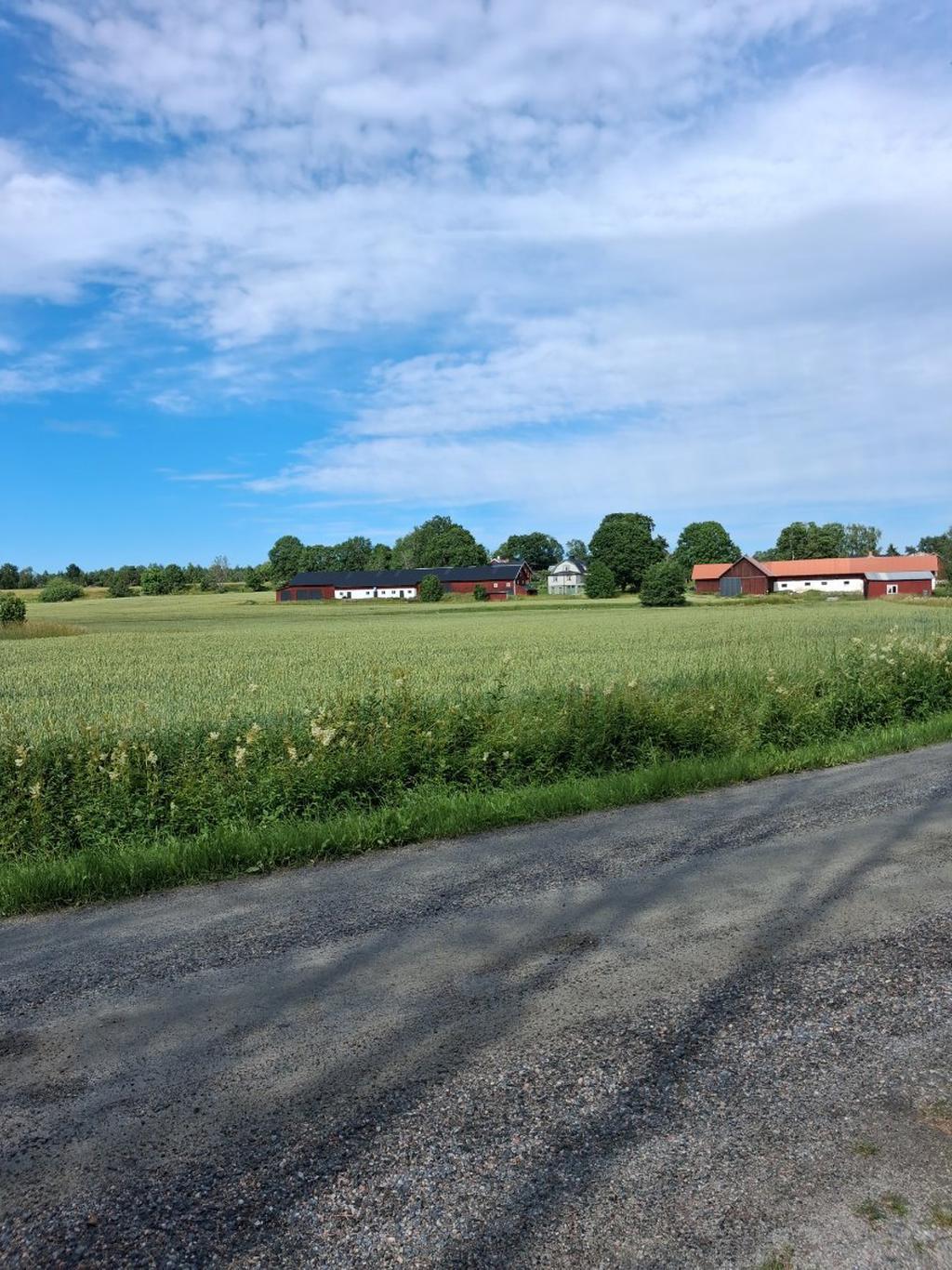 Nästgårds. Säljarens egna bild