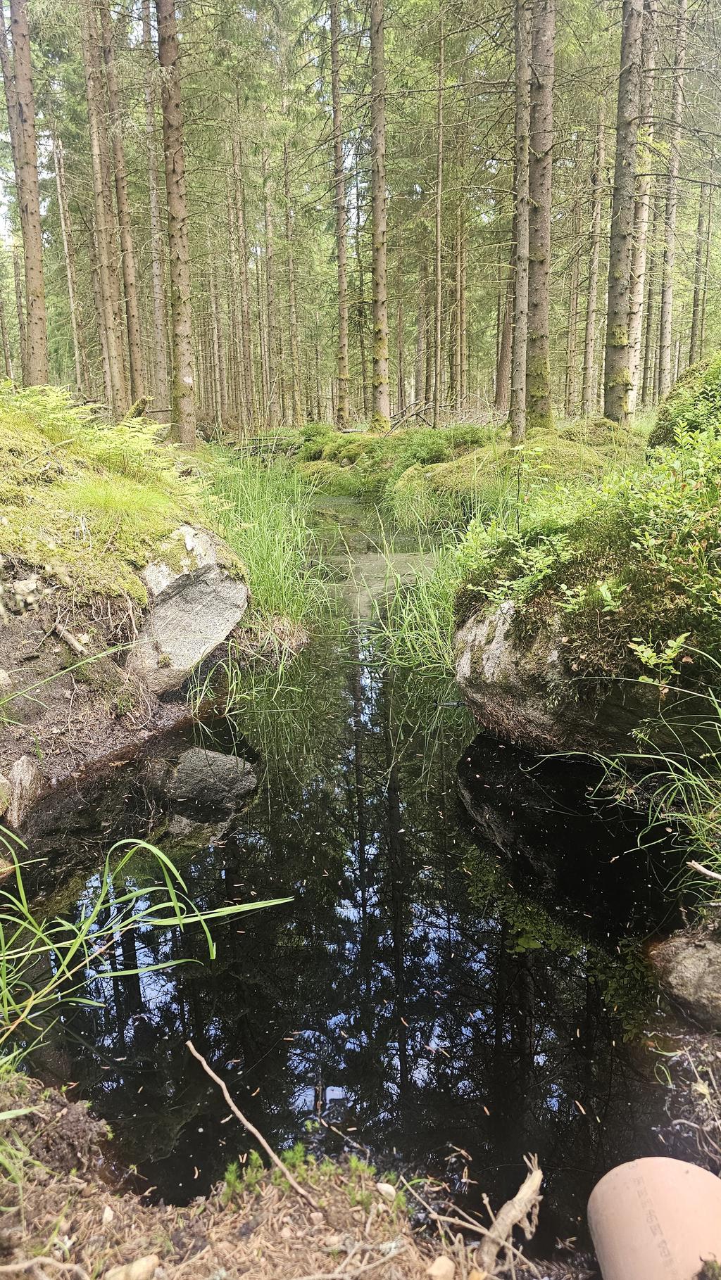 Bild 3 från Svensk Fastighetsförmedling