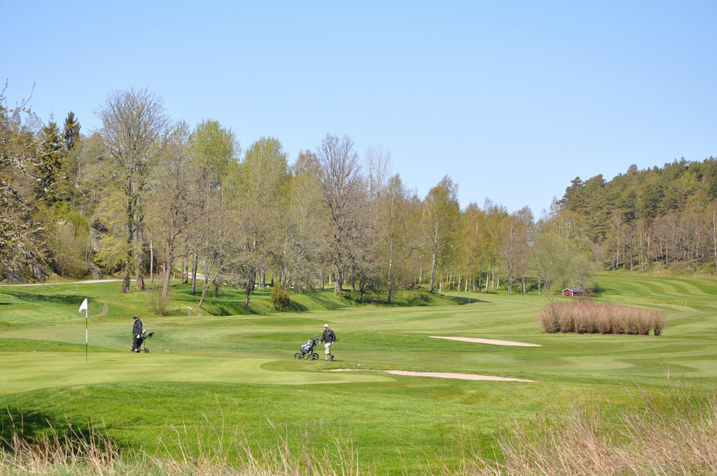 Mjölkeröd golfbana miljöbild.