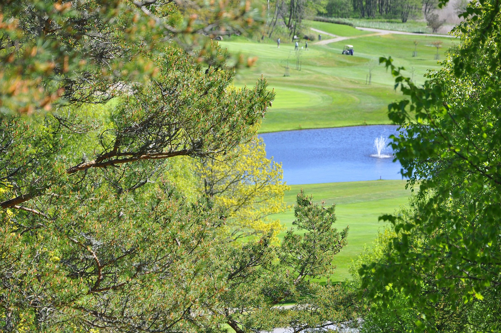 Mjölkeröd golfbana miljöbild.