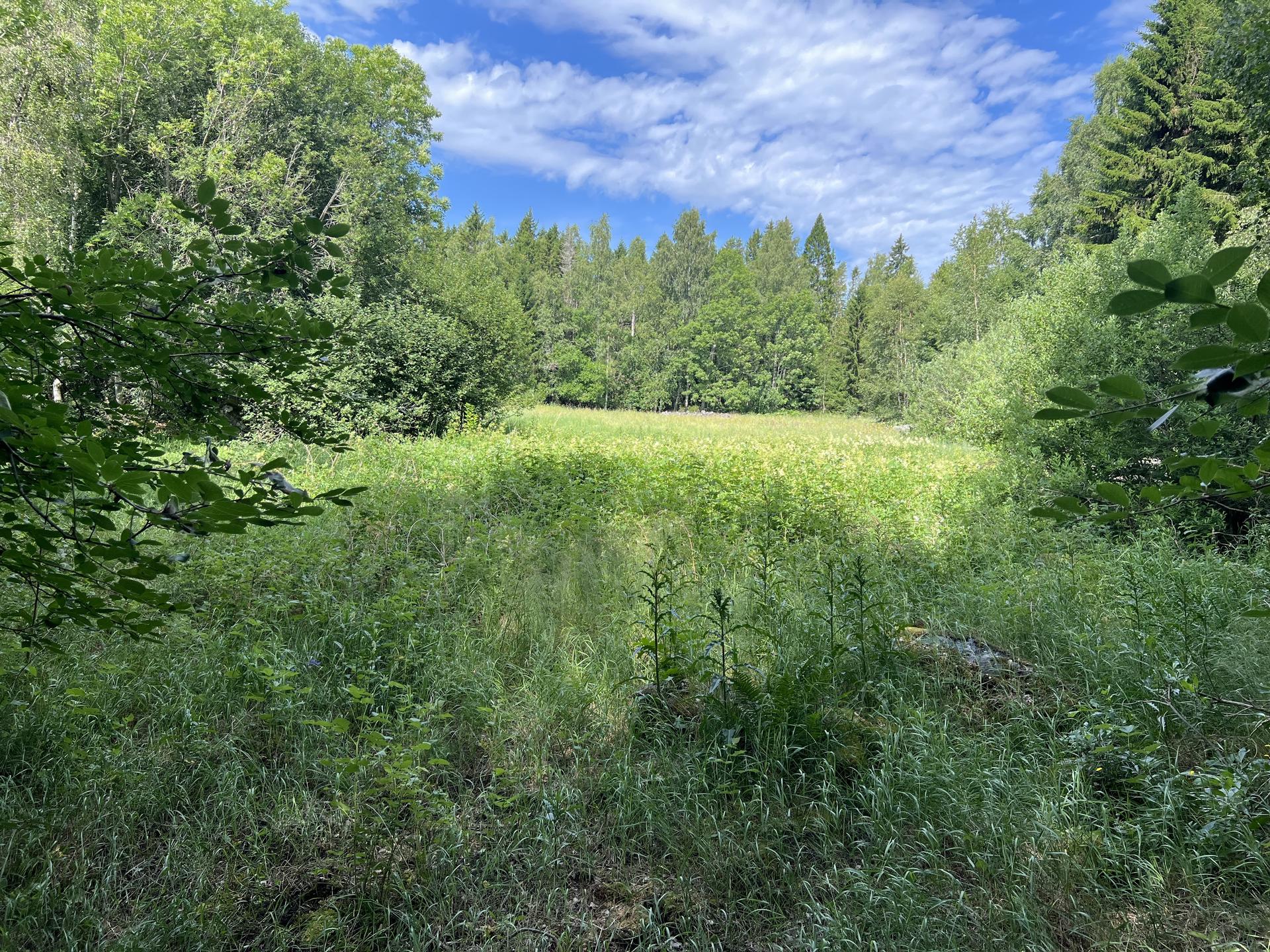 Tierp, EDSÄTRA 4:55