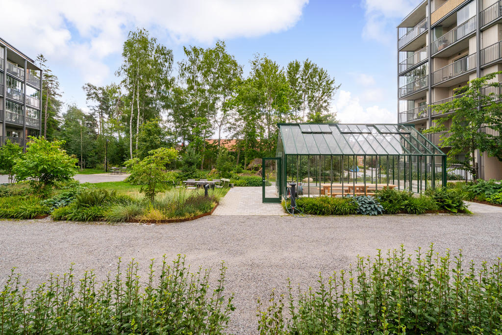 Utsikt från uteplatsen