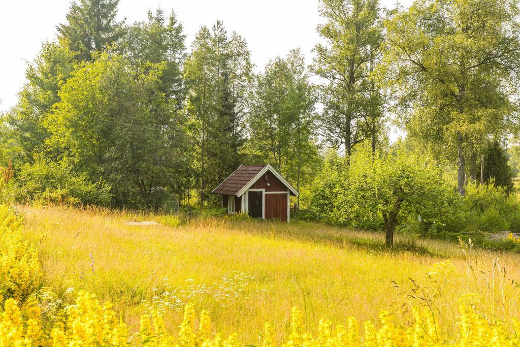 Gäststuga