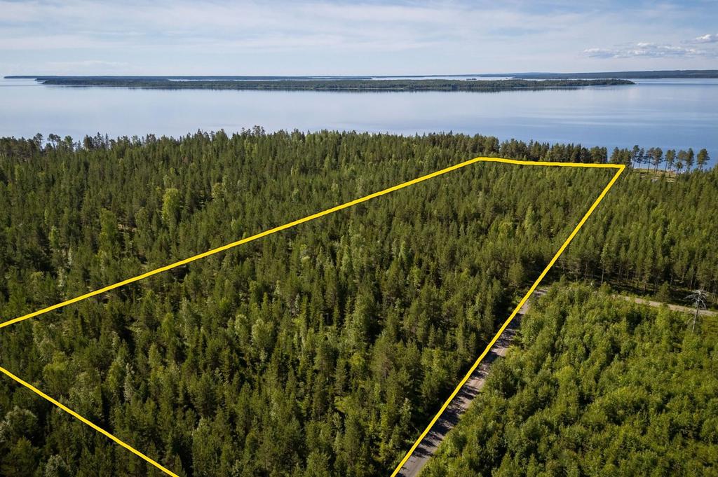 Fastighetsgränsen på bilden är ungefärligt utmarkerad med hjälp av AI. Avvikelse mot verkligheten kan förekomma.