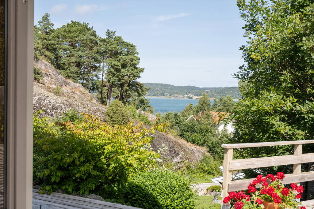 Med havet i blickfånget