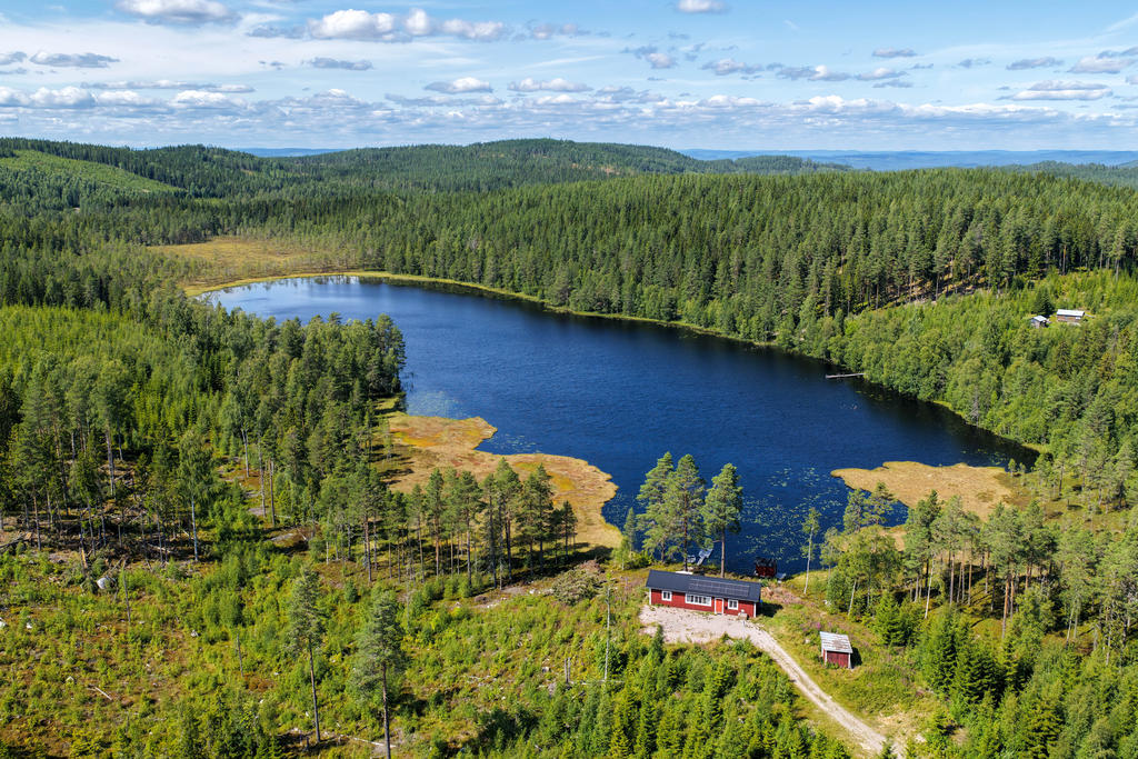 Vy över Gullbergsbotjärnen. 