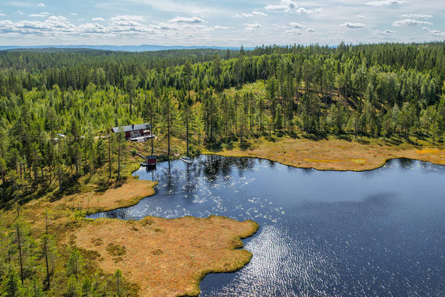 Vy över del av Gullbergsbotjärnen. Enskilt beläget med skogen som din närmsta granne!