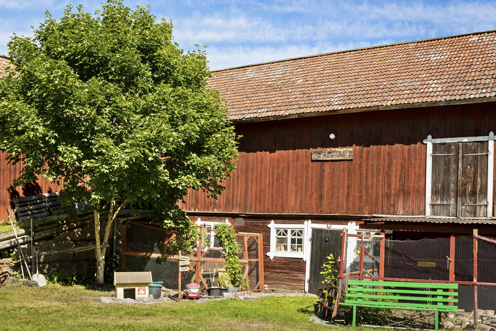 Hönsgård bredvid stallet