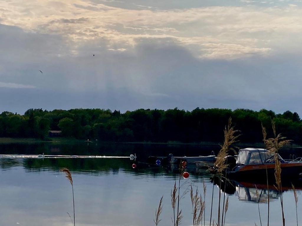 Nere vid Väddöviken