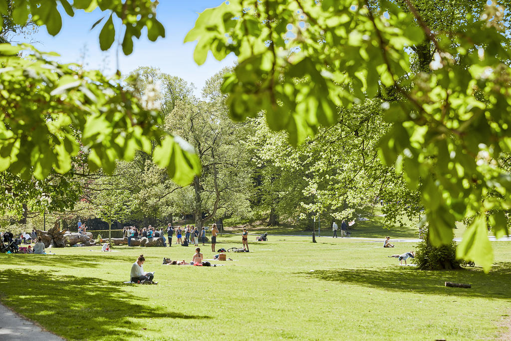 Slottsskogen 