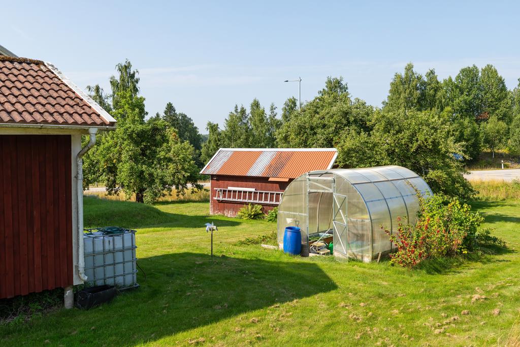 Växthus & vinbärsbuskar. Tar tillvara på regnvattnet för bevattning