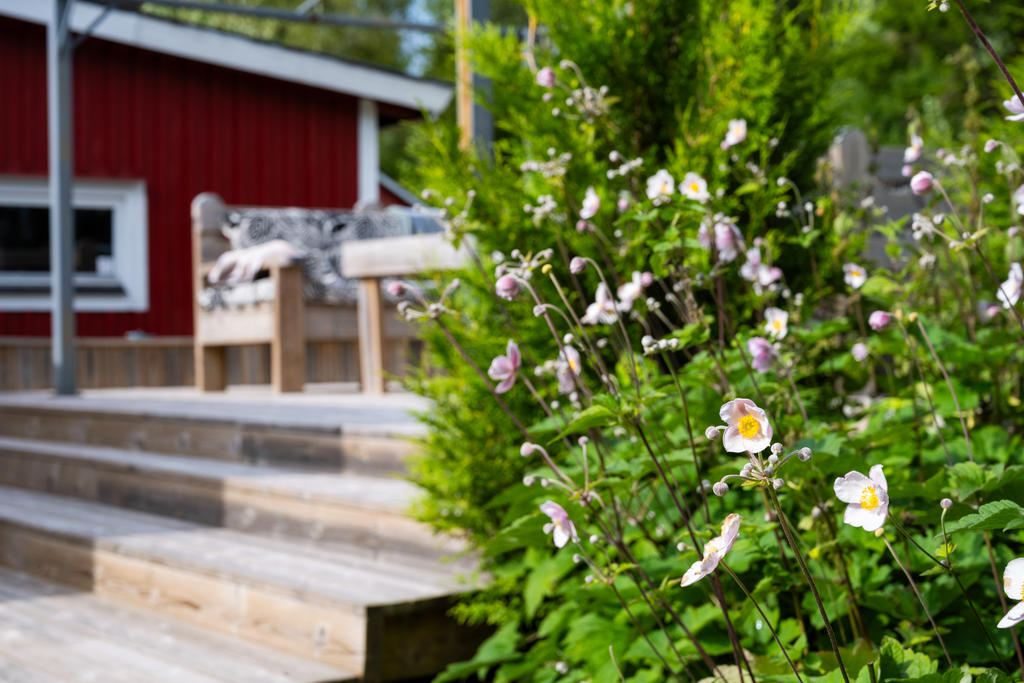 Omgivning med grönska och blommor.