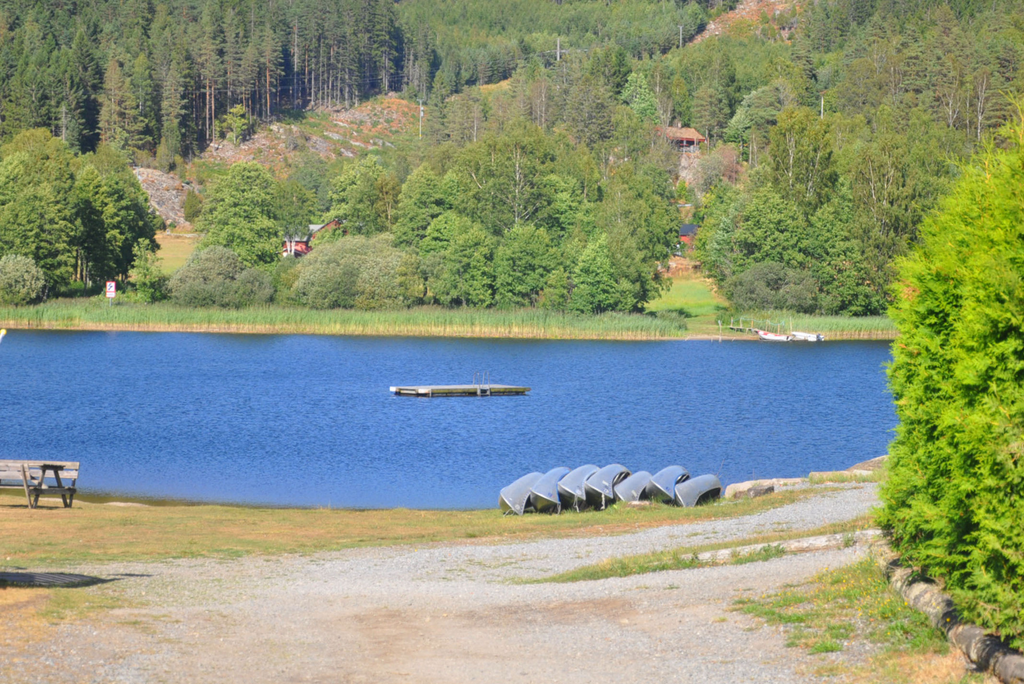 Miljöbild Bullarens camping.