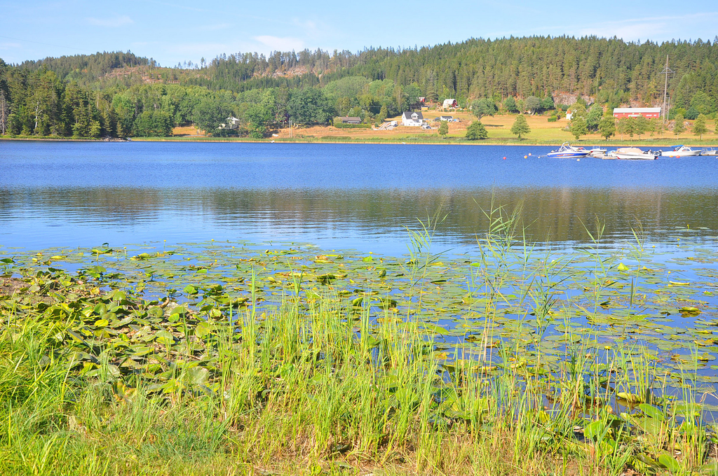 Miljöbild Bullaresjön.