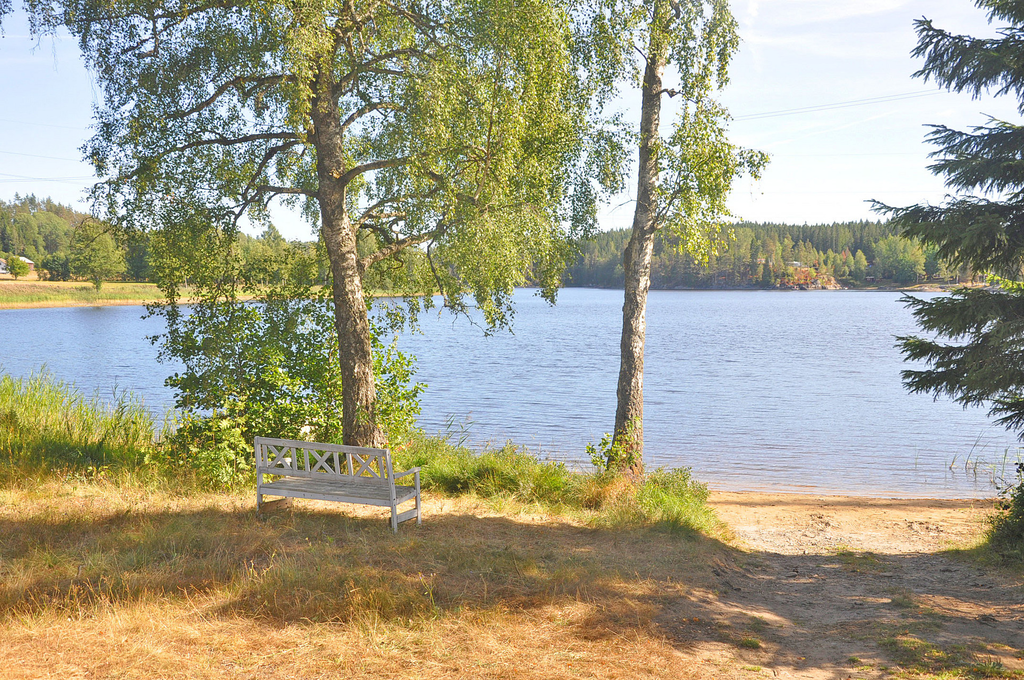 Miljöbild