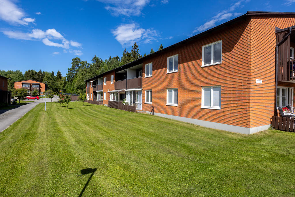 Stor gräsmatta utanför den inglasade altanen