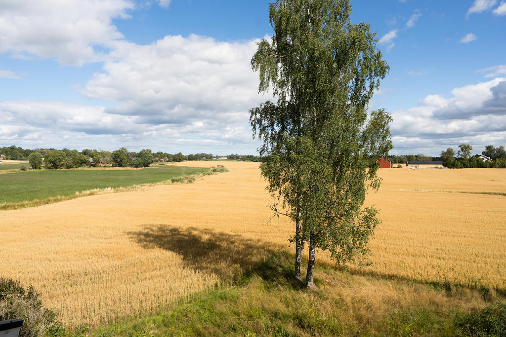 Vacker utsikt över landskapet från övre plan.