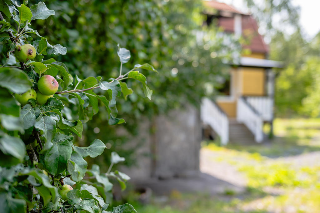 Detaljbild