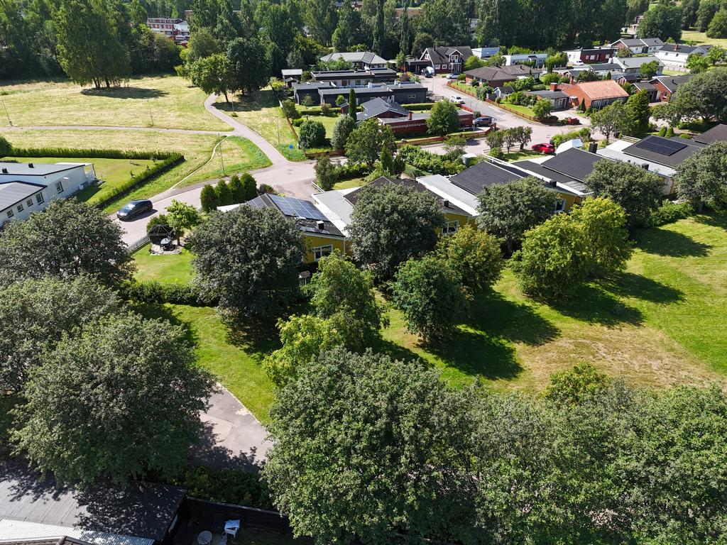 Grönt och fint
