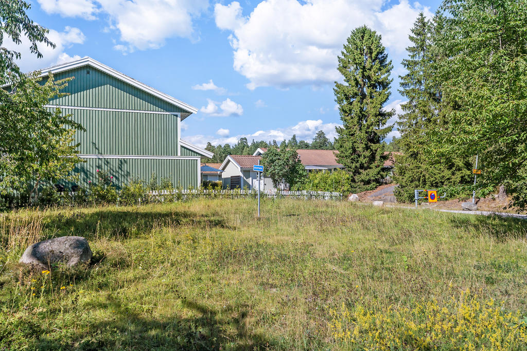Föreningens blomsteräng för biologisk mångfald