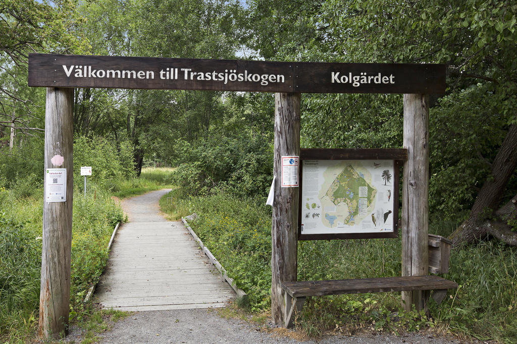 Trastsjöskogen