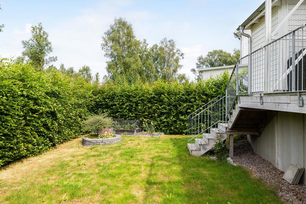 Baksida med gräsmatta