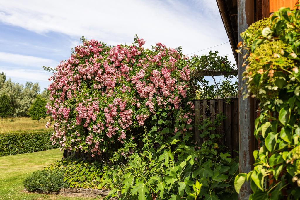 Bild 2 från Svensk Fastighetsförmedling