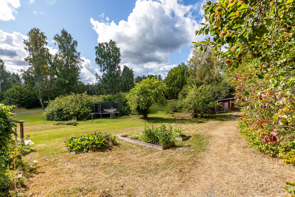 Härlig trädgård
