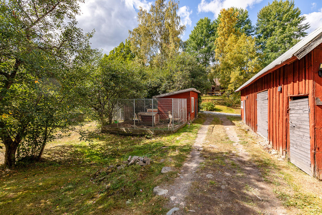 Hundgård