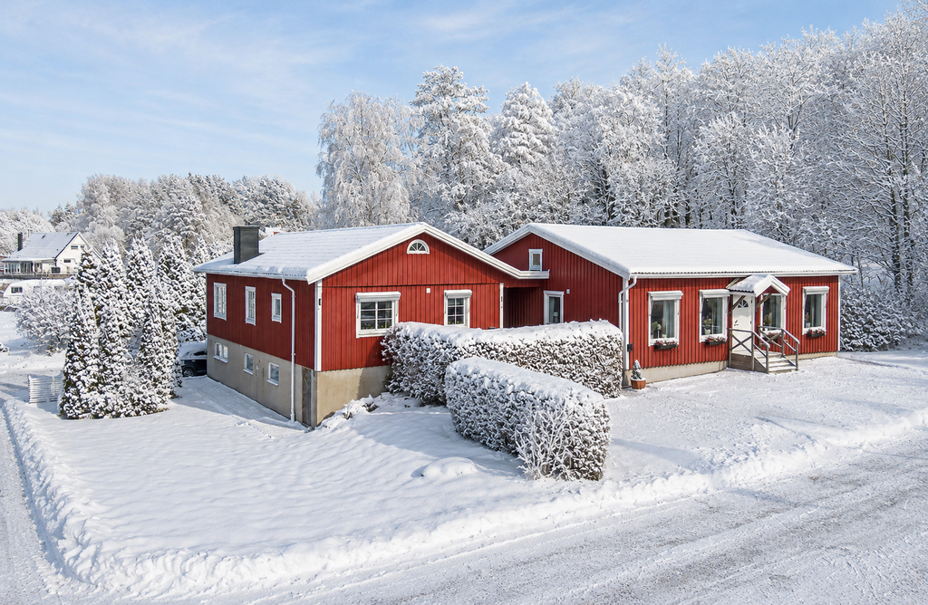 Huset i vinterskrud
(AI-genererad)