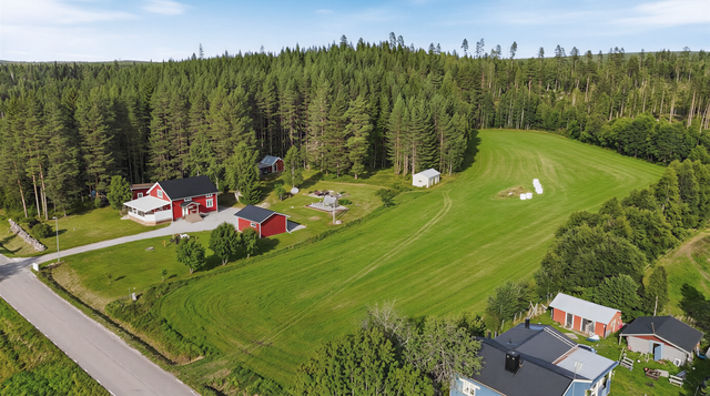 AI-redigerad sommarbild 
(viss avvikelse kan förekomma)