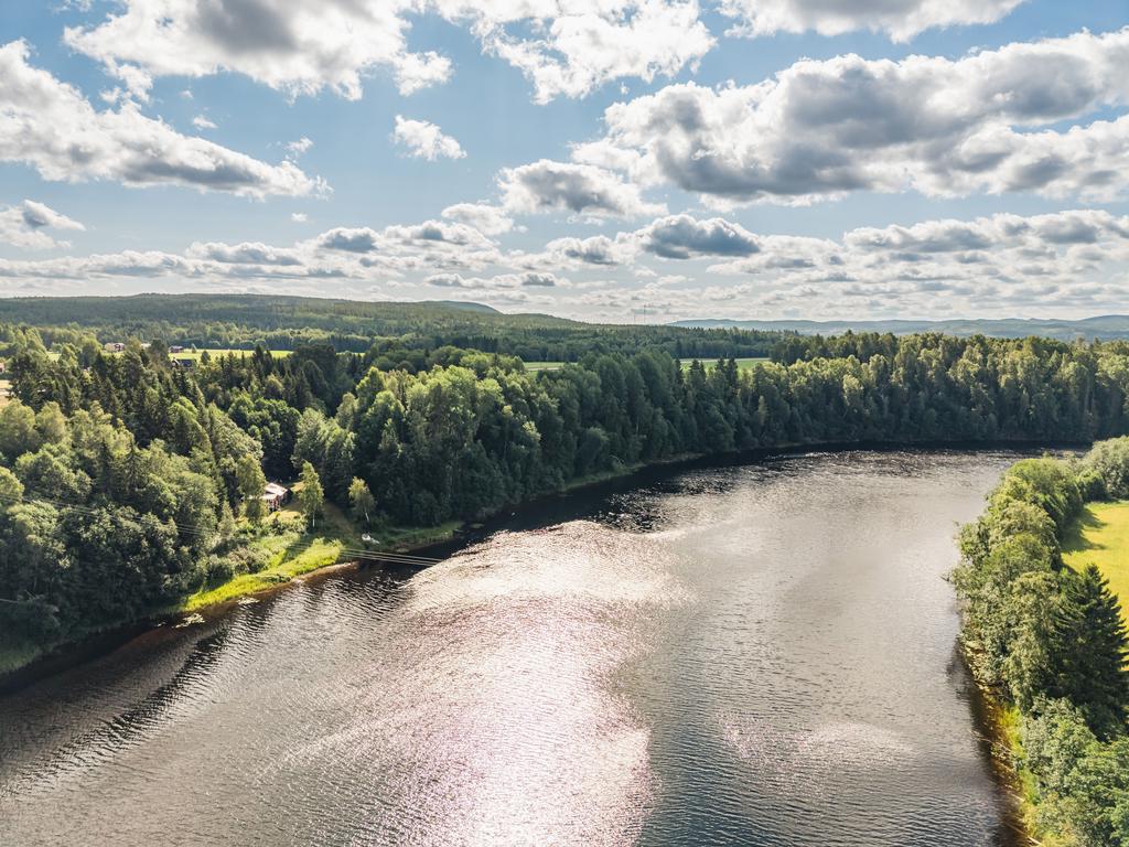 Vy över fastigheten och närområdet