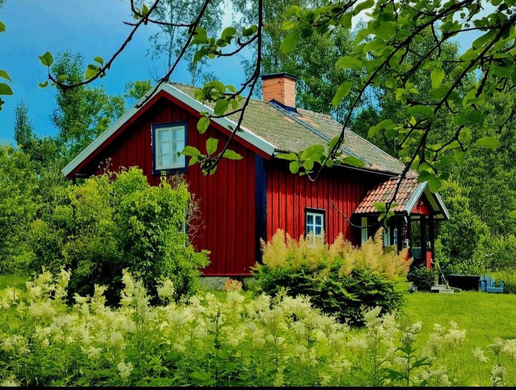 Säljarens bild