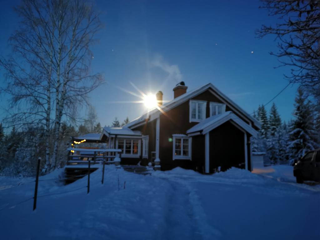 Säljarens egna bild