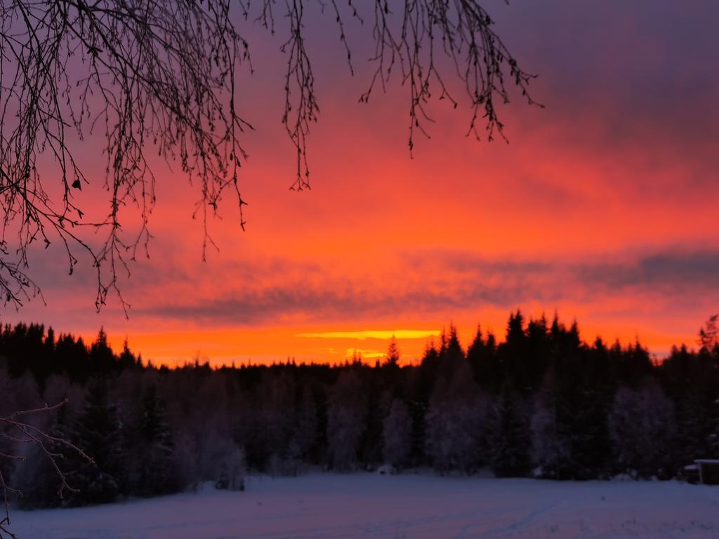 Säljarens egna bild