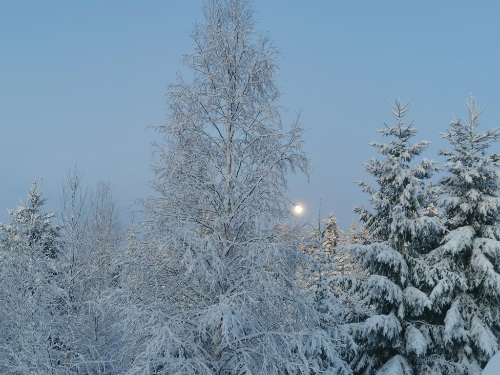 Säljarens egna bild