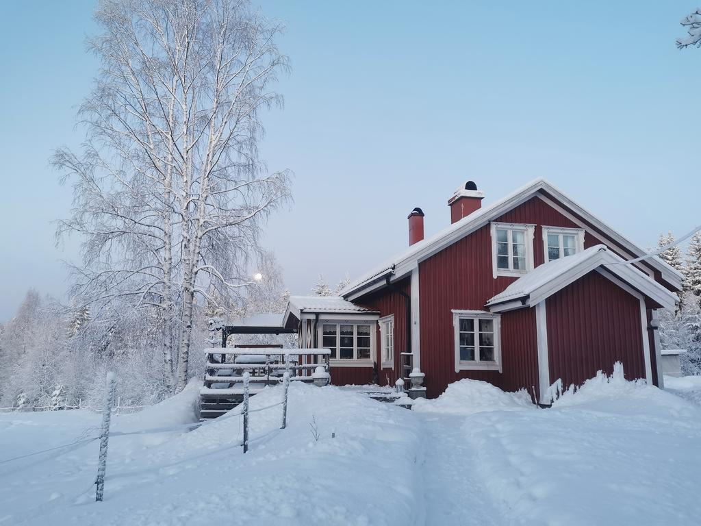 Säljarens egna bild