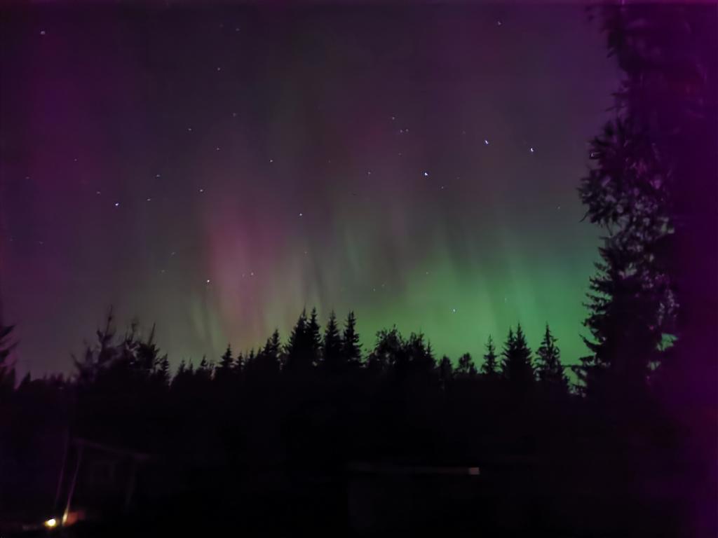 Säljarens egna bild