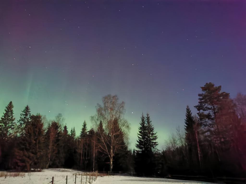 Säljarens egna bild