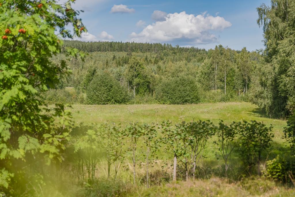 Utsikt från gården över åkrarna