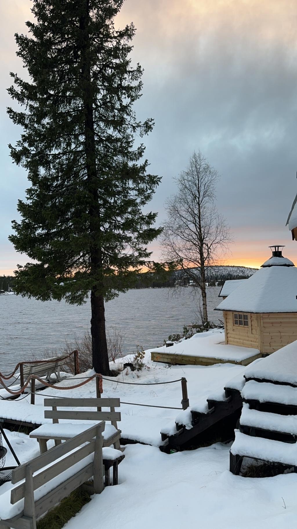 Säljarens egna bild