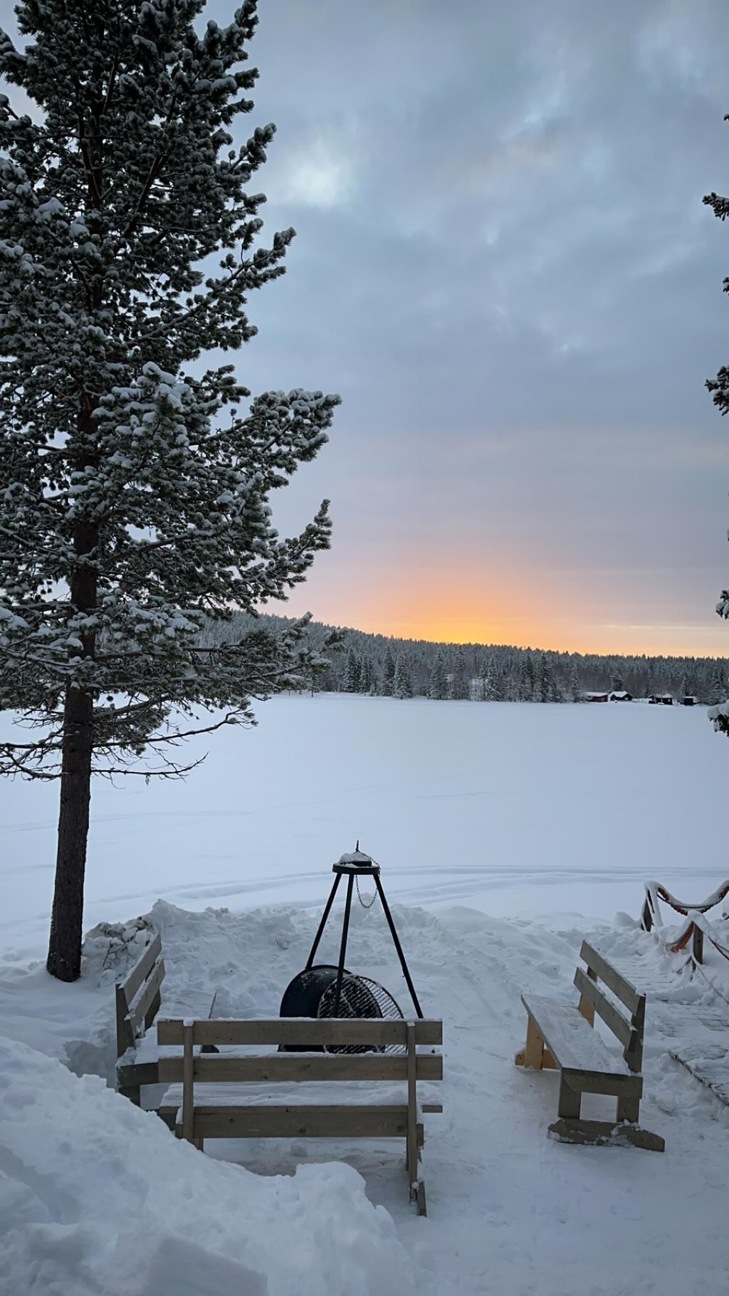 Säljarens egna bild