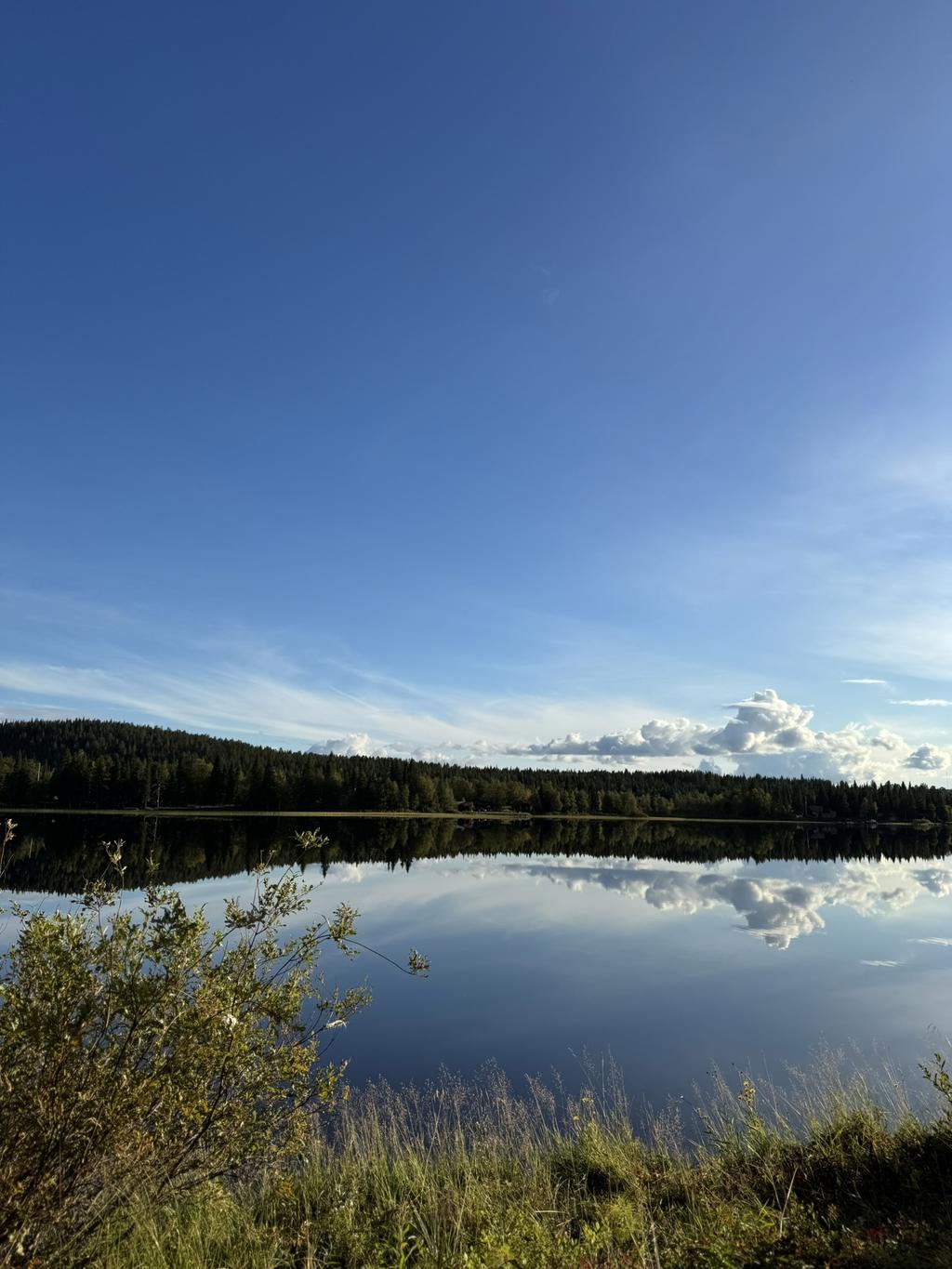 Säljarens egna bild