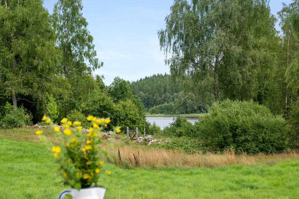 Sjöutsikt