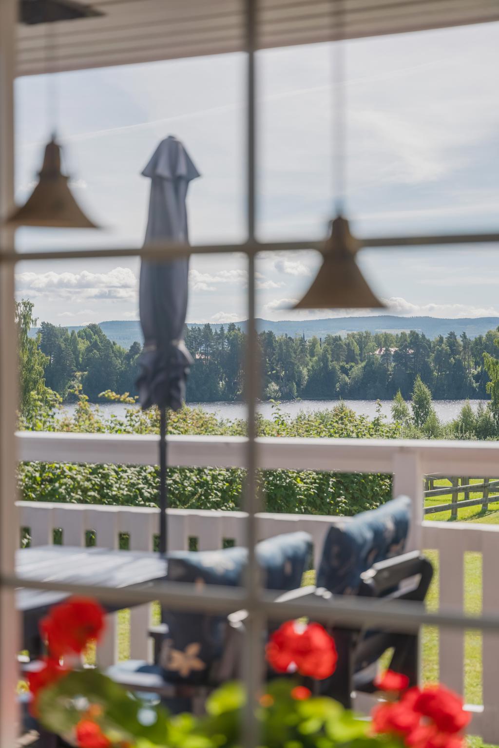 Utsikt från vardagsrummet