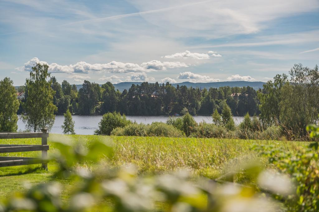 Utsikt mot Västerdalälven