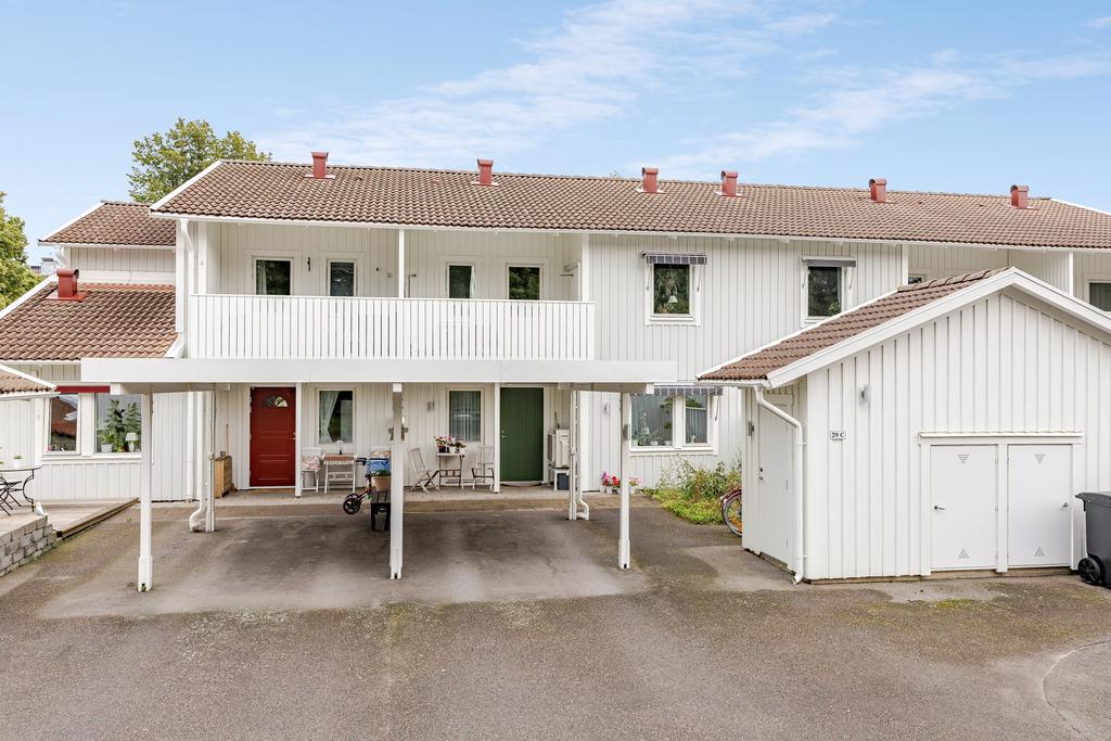 Entré under tak