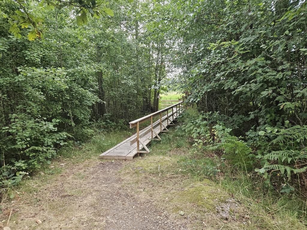 Gångstig till allmän badplats